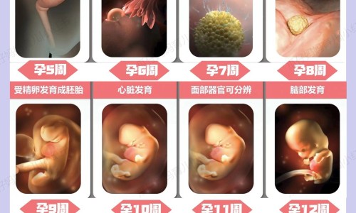 碘伏浓度区别网-分享碘伏选择什么浓度比较好，碘伏选择什么浓度比较好知识库